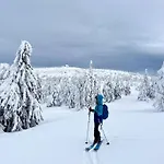 Chalet Dzika Róża Szklarska Poręba