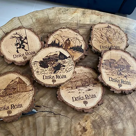 Dzika Roza בקתה *