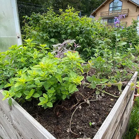 Dzika Roza Chalet Szklarska Poręba