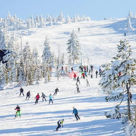 Dzika Roza שצ'קלארסקה פוראובה