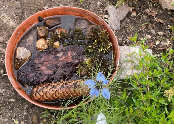 Dzika Roza 木屋 斯克拉斯卡波伦巴