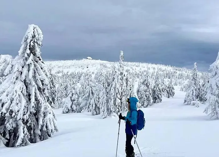 Chalet Dzika Roza Szklarska Poręba