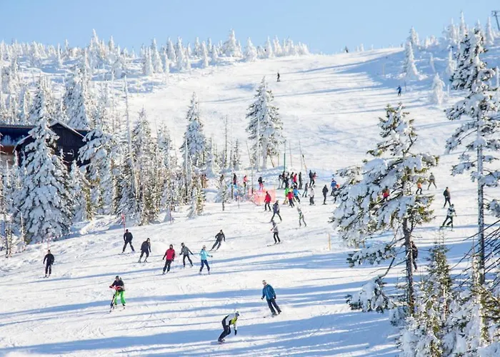 Dzika Roza Szklarska Poręba